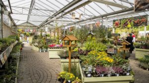 Castle Gardens garden centre in Sherborne