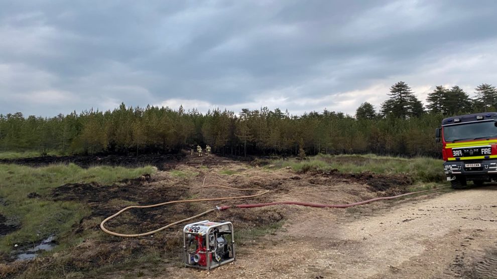 Wareham Forest Fire